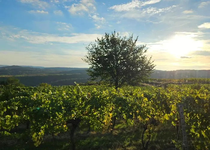 Kremstal Apartamento Imbach